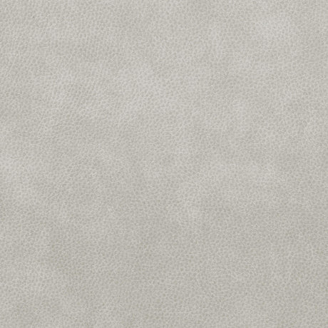 Coaster brand label on sofa frame