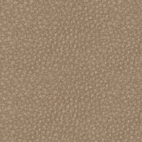 Fabric texture and color swatch