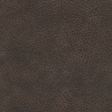 Fabric and leather swatch sample
