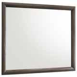 Farre Dark Brown Dresser Mirror 46" x 36.25" — product view