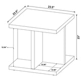 Coffee Table with decor accessories
