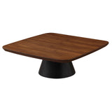 Modern walnut and black metal coffee table top detail