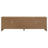 Interior shelving of TV stand for media components