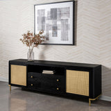Arini TV stand side profile showing rattan cane door detail