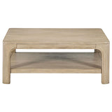 Lower shelf storage of Solano square coffee table