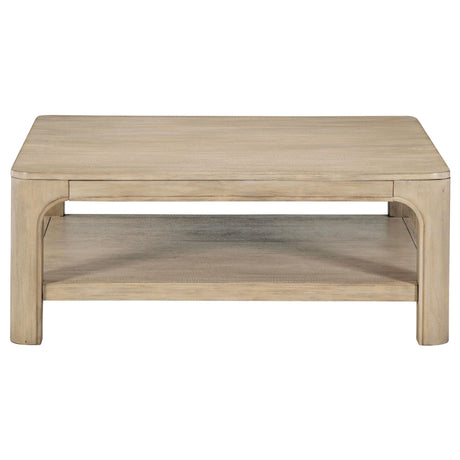 Lower shelf storage of Solano square coffee table