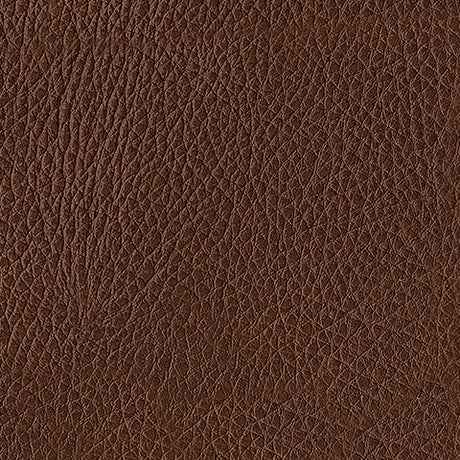 Brogliano Canyon Leather Sofa leather swatch detail