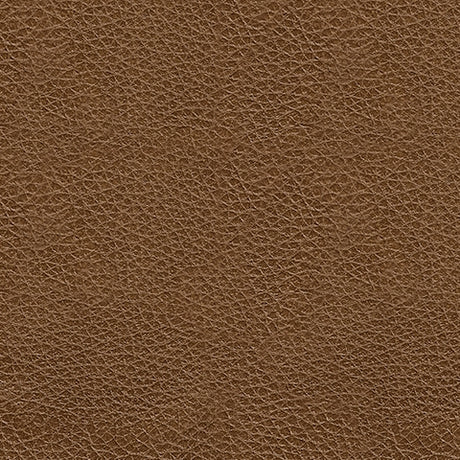 Saonara Amber Leather Ottoman leather upholstery swatch