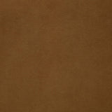 Catala Upholstered High Back Accent Chair Rust and Coffee — product image 10