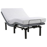 Tasca Twin Dual-Motor Adjustable Bed Base in Black — product image 3