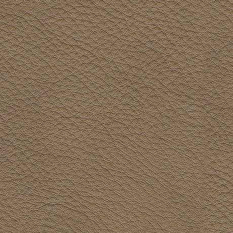 room view showing Veronella Sahara Leather 5-Piece Sectional sofa arrangement