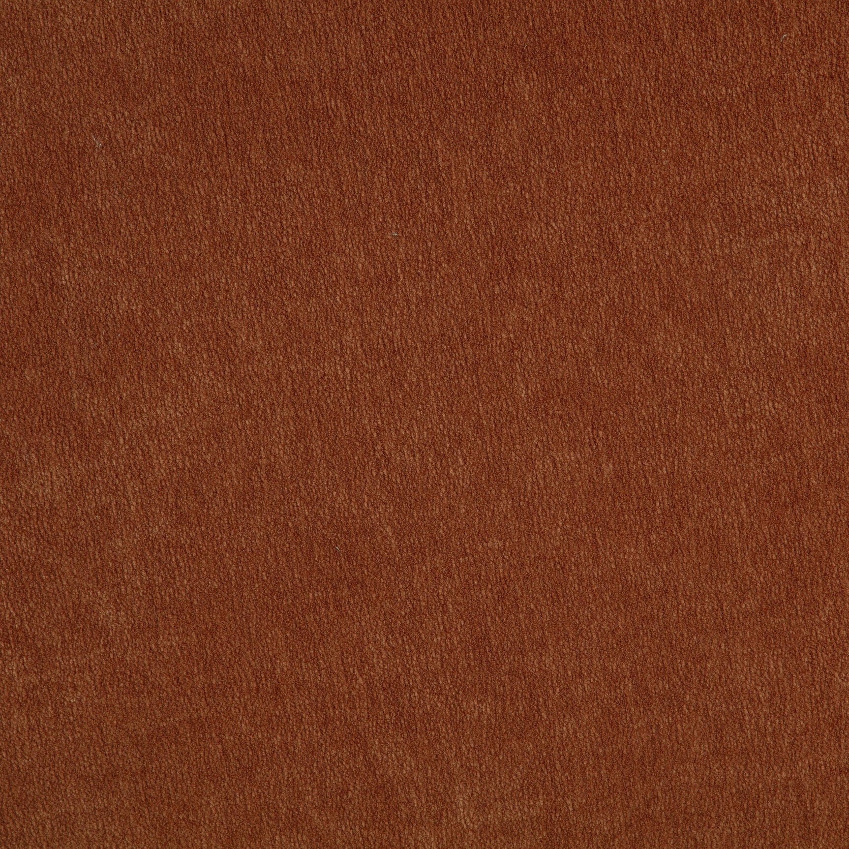 Arnaud Chenille Upholstered Swivel Accent Chair Burnt Orange