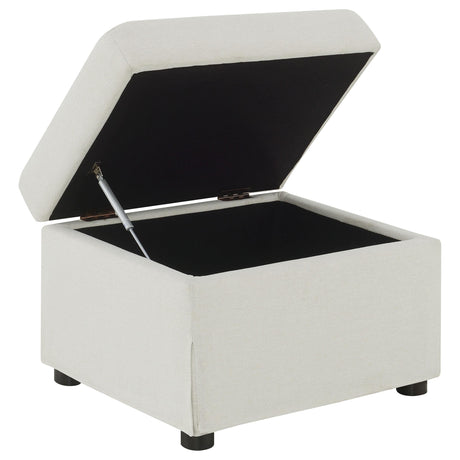 Inside hydraulic lift storage compartment of ottoman