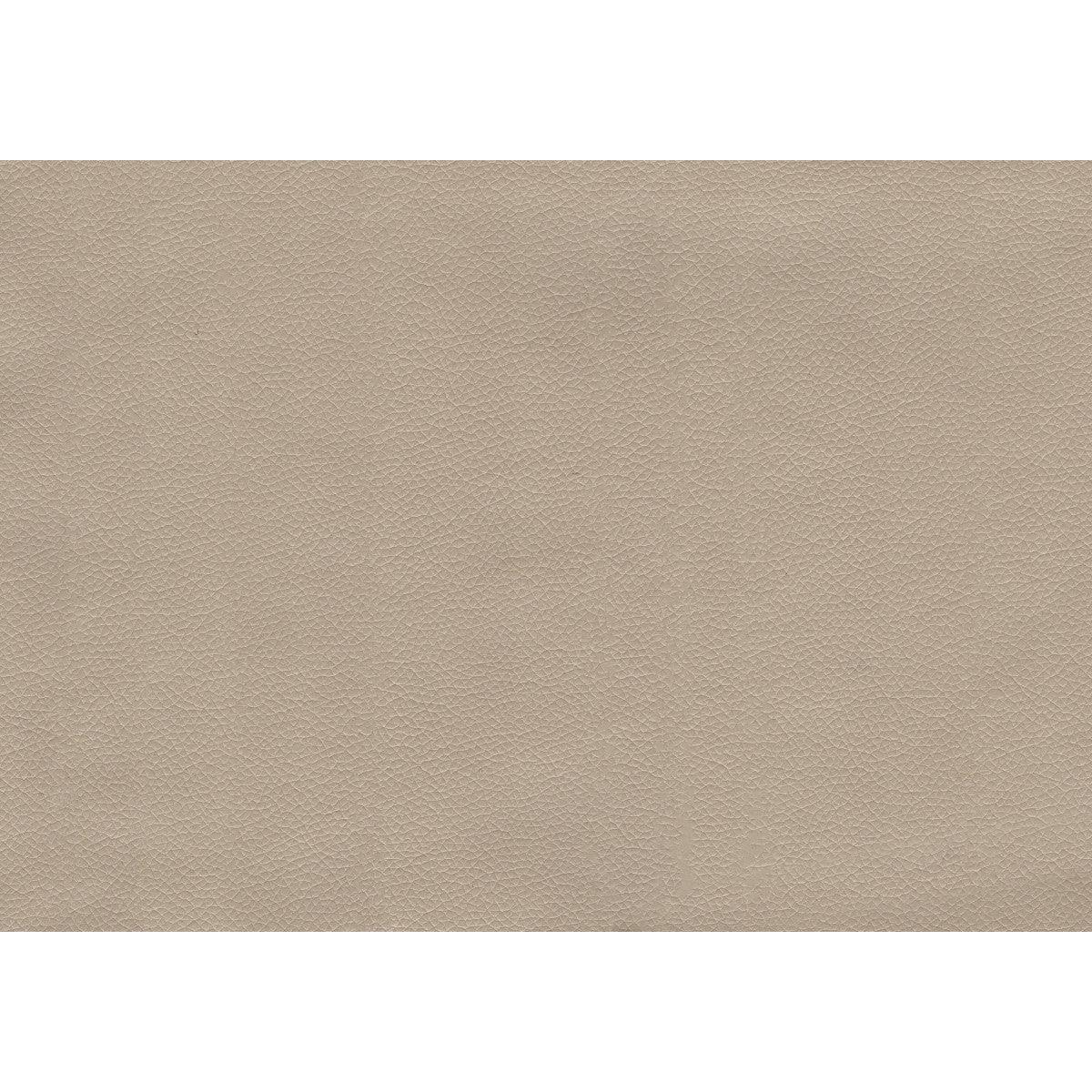 Morelia Beige Chenille fabric swatch