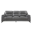Mischa Dark Gray Leather Match Sofa front view
