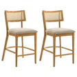 Fabra Cane Back Counter Height Chair Honey Wheat Set of 2 — product view
