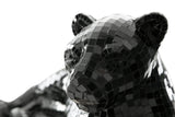 Close-up of black panther face detail