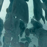 Cartshaw Vase reflecting light, highlighting iridescent colors