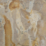 Edurton tray finish close-up