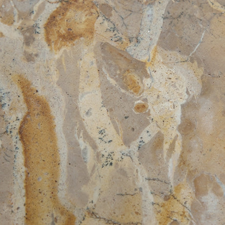 Edurton tray finish close-up