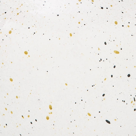Dallinworth Vase color swatch showing white with black speckles