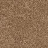 Tumbleweed leather upholstery swatch