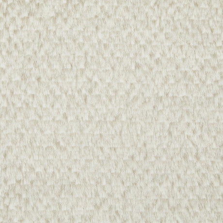 Brettner Ivory fabric swatch