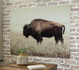 Brutus Sepia Wall Art front view with sepia bison on glass
