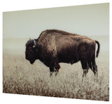 Close-up of Brutus Sepia Wall Art sepia bison detail