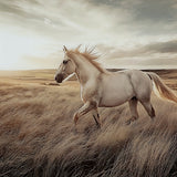 Errolville wall art with galloping horse in golden field, front view