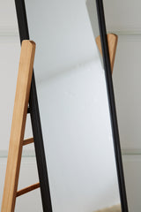Bronick floor mirror color swatch showing black and brown finishes