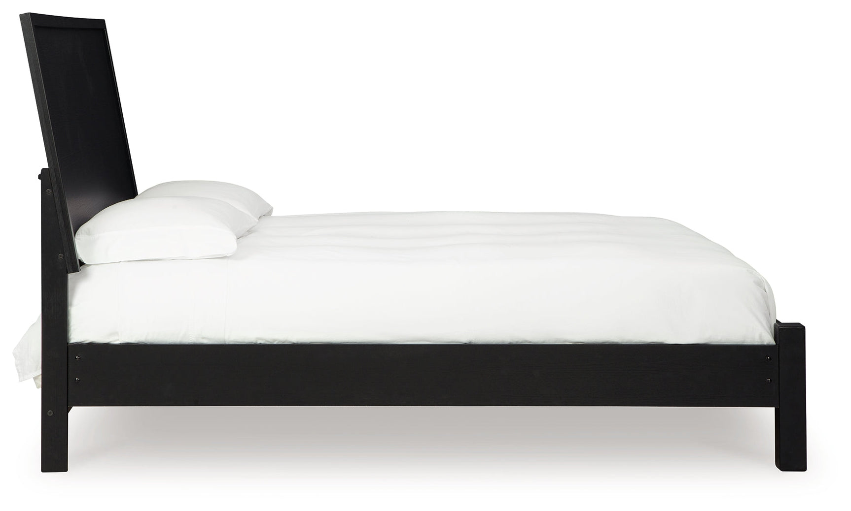 Danziar Black Queen Panel Bed