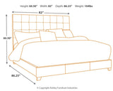 Dolante Bed dimension graphic