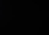 Close-up of Emily bed’s clean black finish and storage drawer