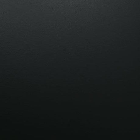 Lanolee Black Queen Panel Bed close-up black finish