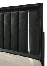 Cressida Black Upholstered Panel Bedroom Set view 15