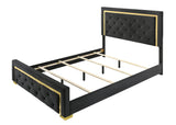 Pepe King and Queen Rails black and gold finish