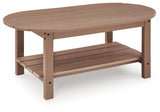 Grover Driftwood Beach coffee table side view