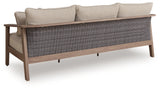 Harmony Headlands Outdoor Sofa natural gray back view