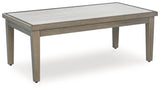 Rainier Ranch outdoor chair front angle
