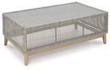 Seton Creek Gray Outdoor Coffee Table head-on view highlighting rectangular shape