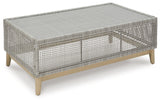 Seton Gray Creek Outdoor Sofa and Loveseat with Coffee Table