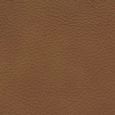 Magic Man Caramel Leather 2-Piece Power Reclining Sectional Loveseat - image 5