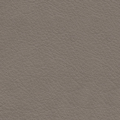 Leather upholstery color swatch in Coin light shade
