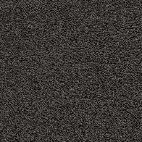 5Z-Comfort Onyx Sofa and Loveseat