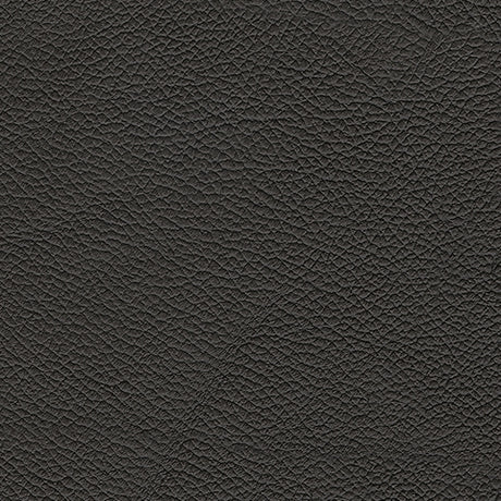Leather upholstery sample swatch