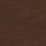 Knightington Brown Leather Power Recliner with Audio Seating upholstery swatch