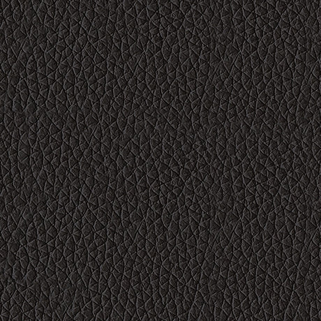 Glossmore Black leather upholstery swatch