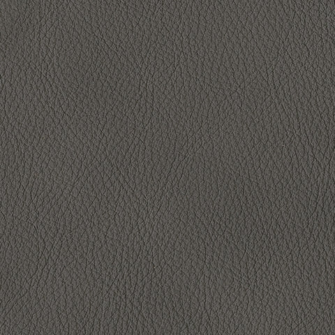 Anchor leather color swatch sample