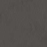 Leather and faux leather upholstery swatch